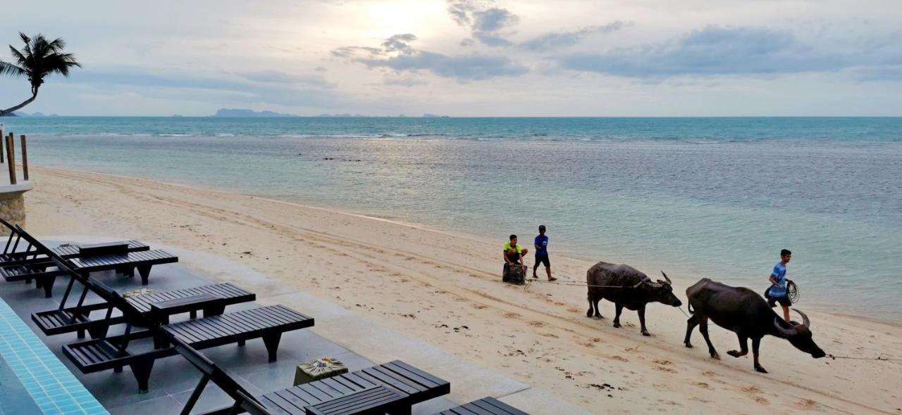 Mimosa Resort & Spa Koh Samui Exterior photo